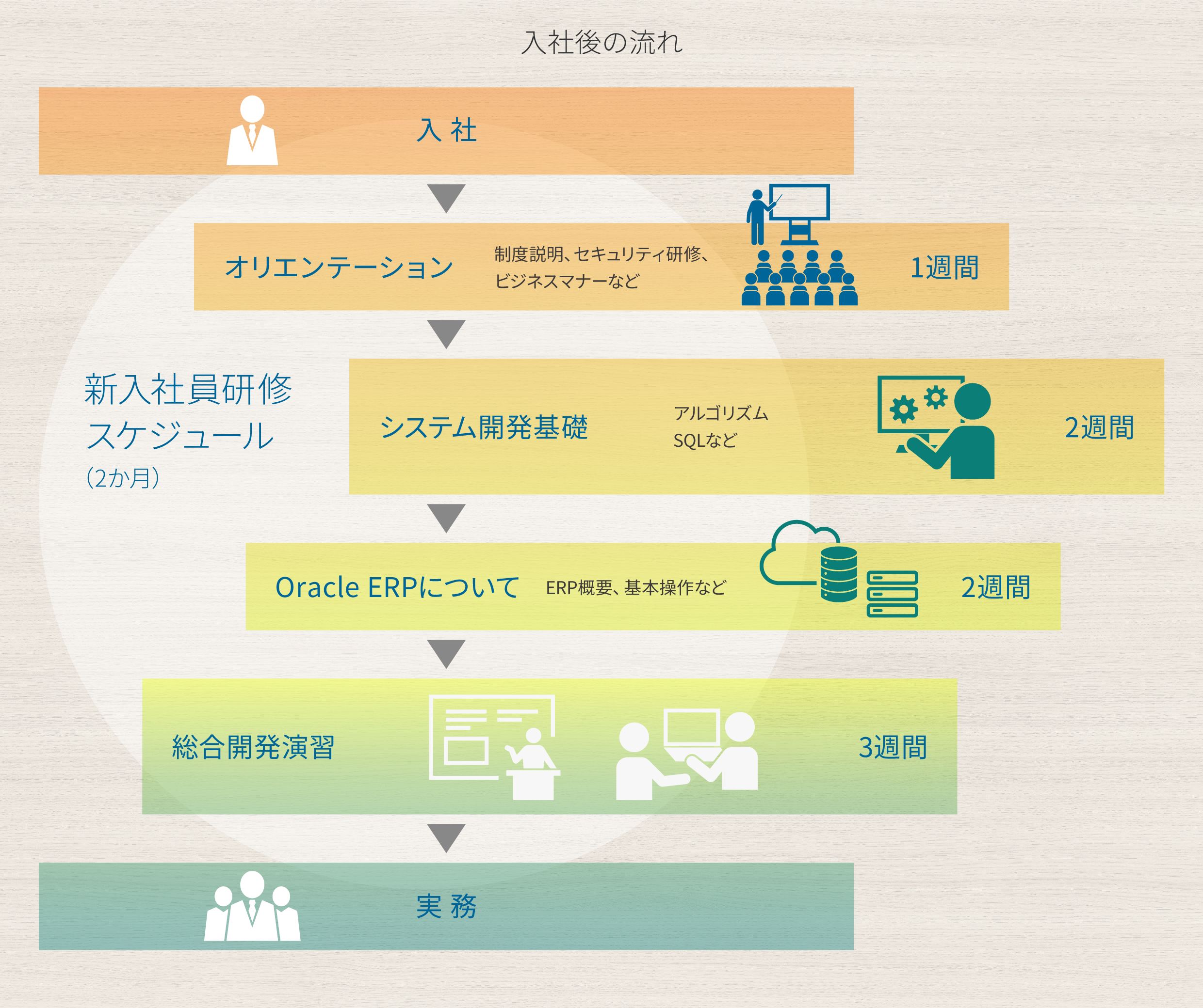 入社後の流れ