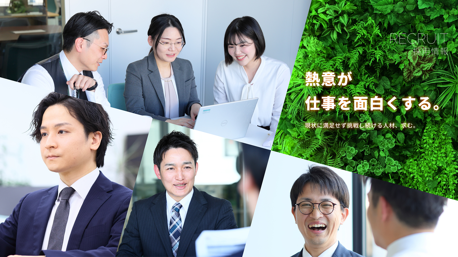 採用情報